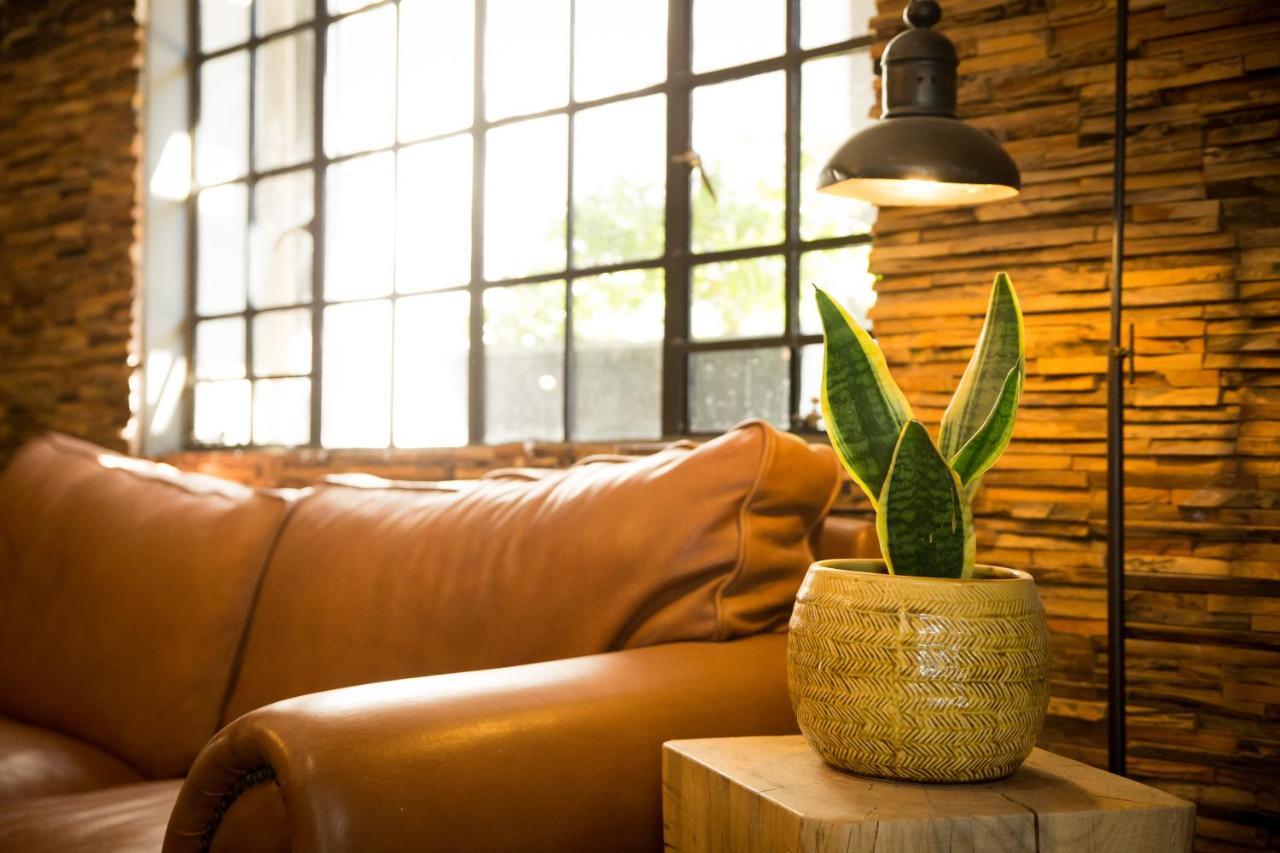 Olive Grove Guesthouse 빈트후크 외부 사진